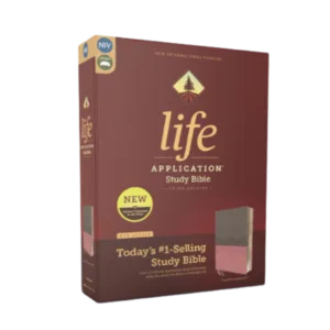 Best NIV study Bible