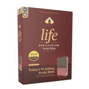 Best beginner Study Bible for Adults