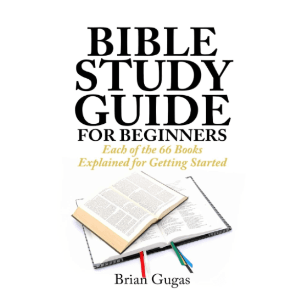 16-best-study-bibles-these-will-make-you-a-bible-nerd-and-that-s-okay