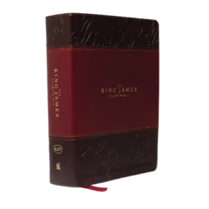 Best KJV study Bible