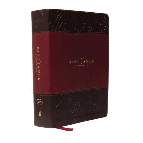 16-best-study-bibles-these-will-make-you-a-bible-nerd-and-that-s-okay