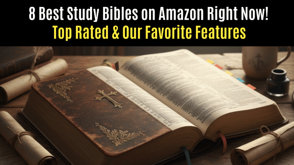 Best Study Bibles on Amazon