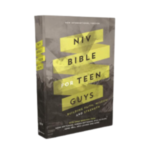 NIV Bible for Teen Guys