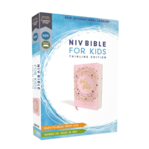 NIV, Bible for Kids